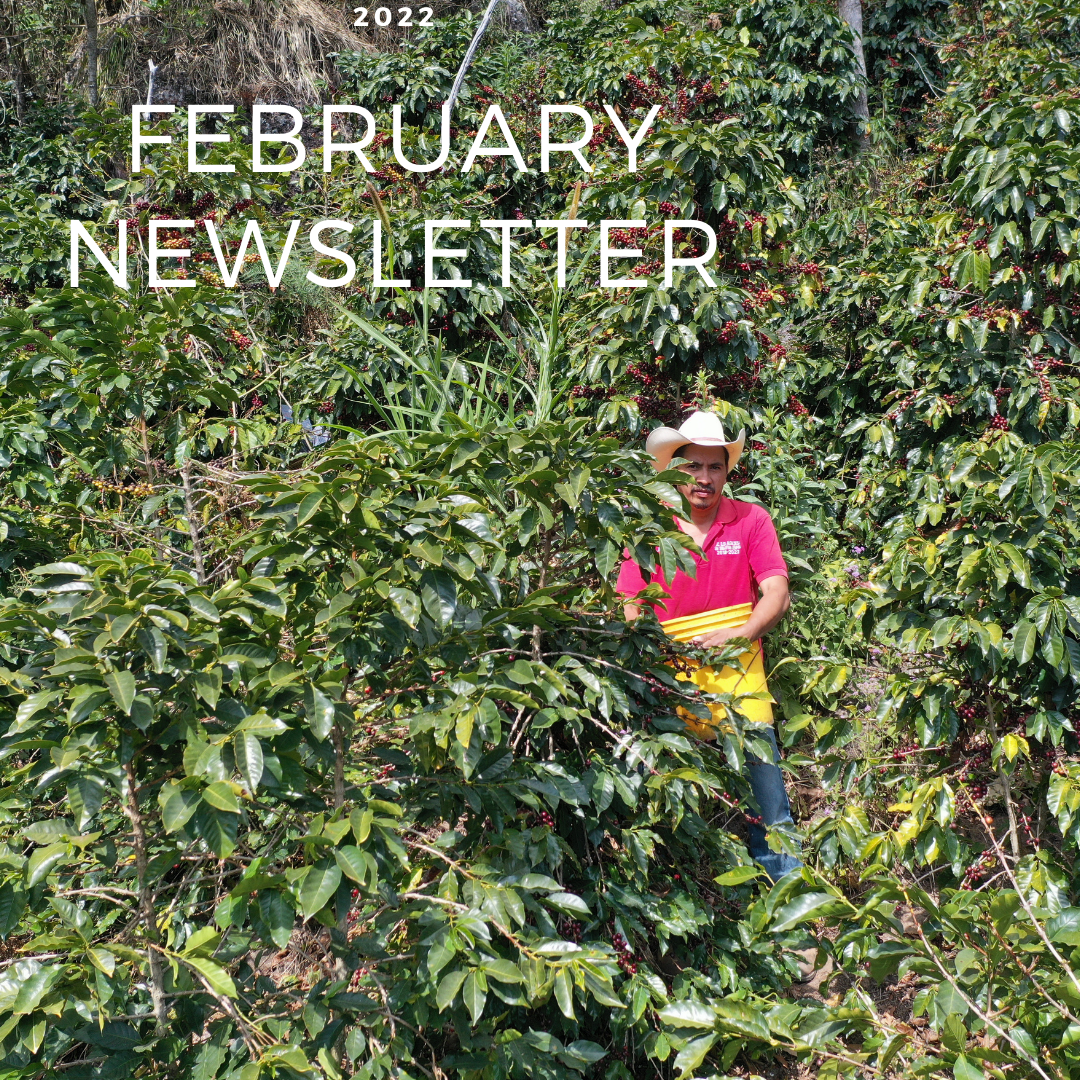 Collection of February 2022 Newsletter in a gallery layout