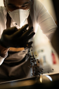 What is Coffee Roasting?