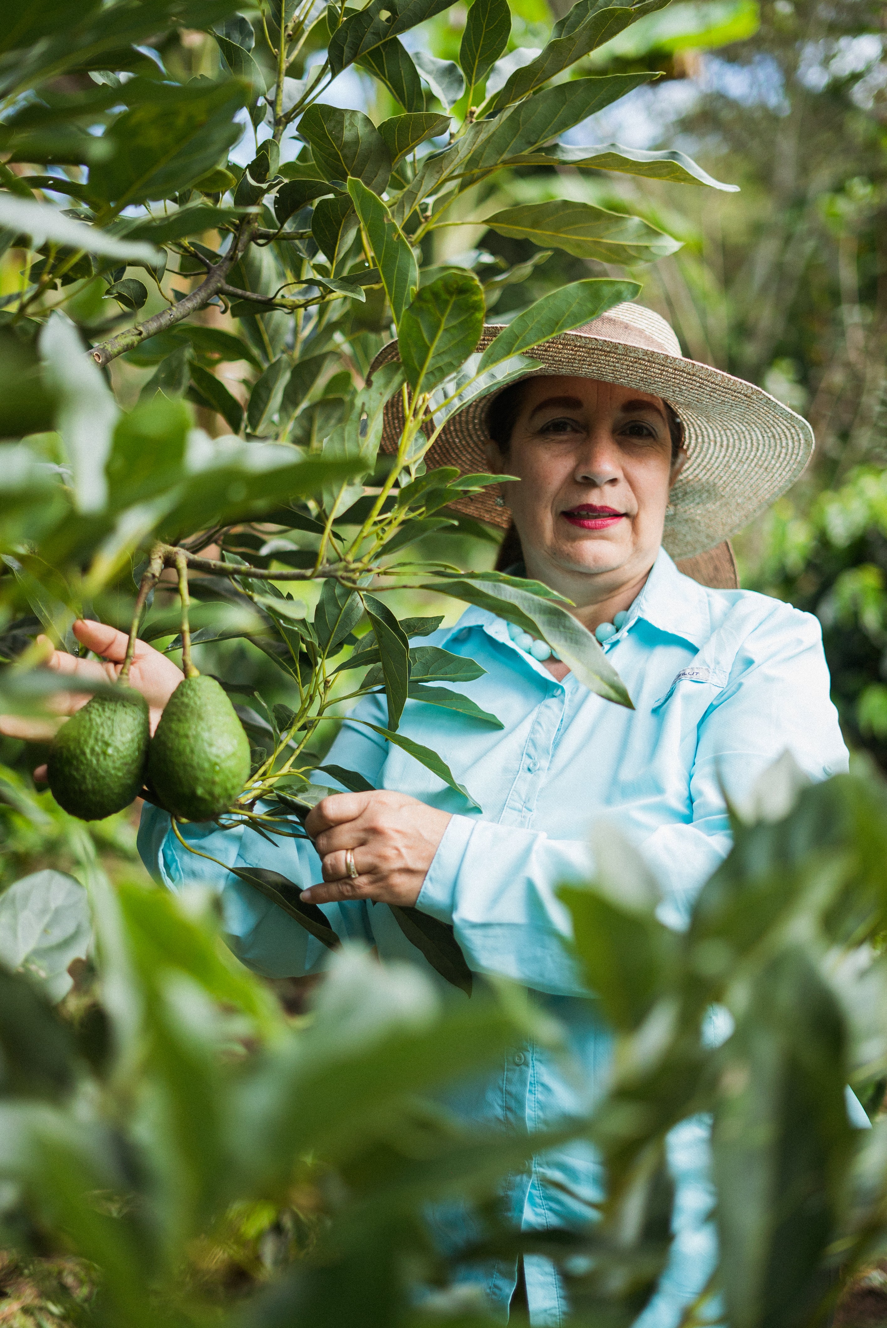 Collection of Biodiversty in a gallery layout