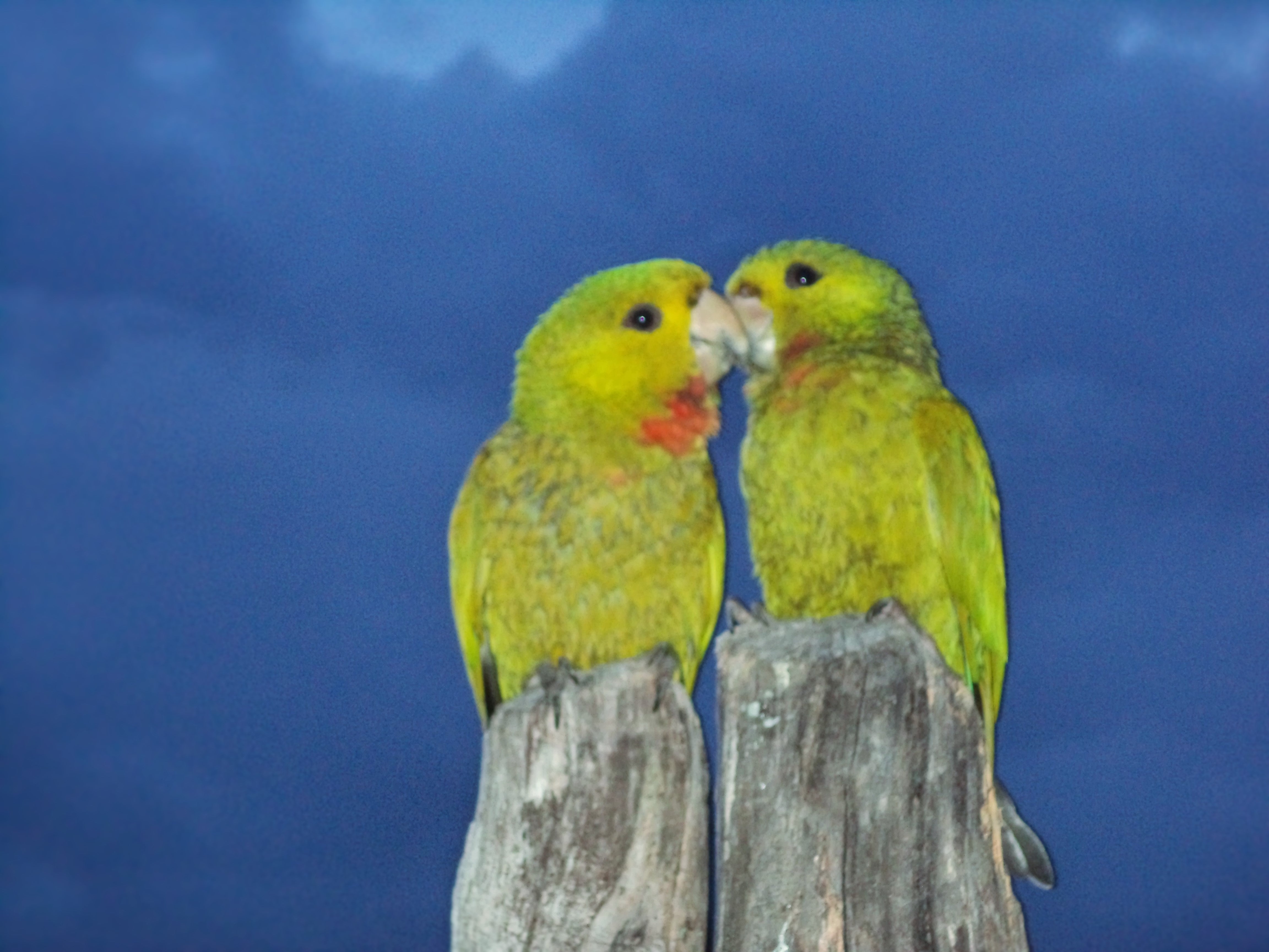 Collection of Our sustainability review for 2021 in a gallery layout