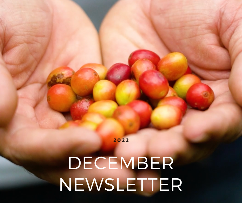 Collection of December Newsletter in a gallery layout
