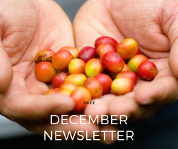 December Newsletter