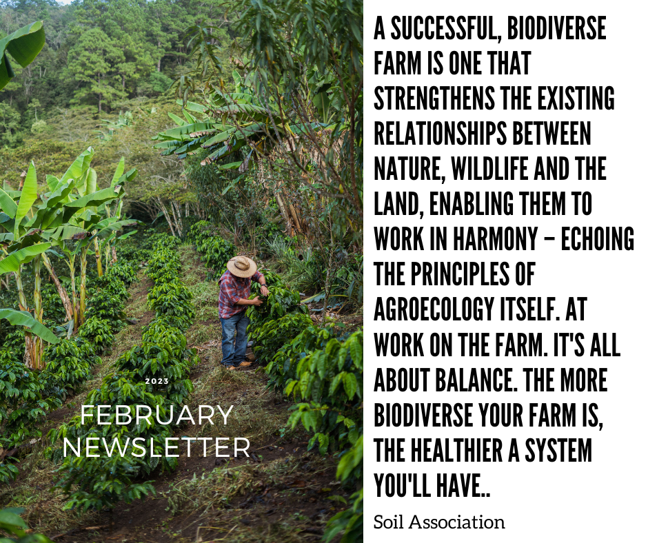 Collection of February Newsletter 2023 in a gallery layout