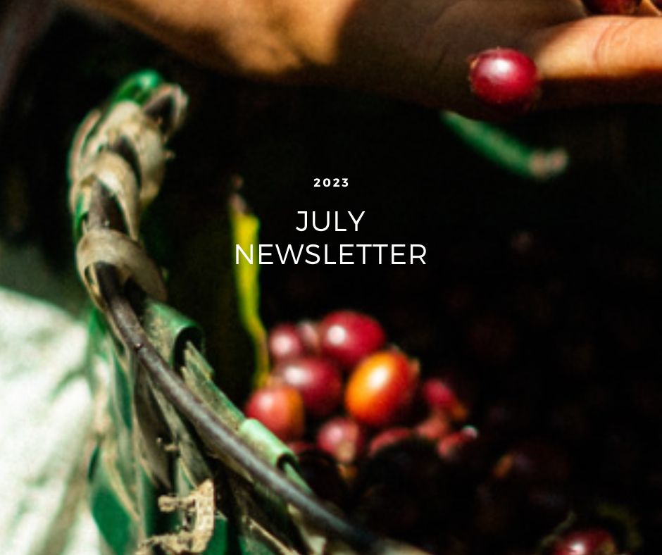 Collection of July 2023 Newsletter in a gallery layout