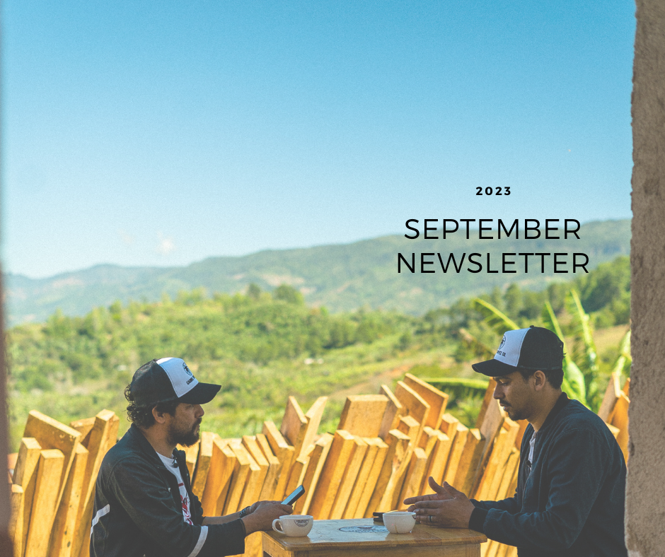 Collection of September 2023 Newsletter in a gallery layout