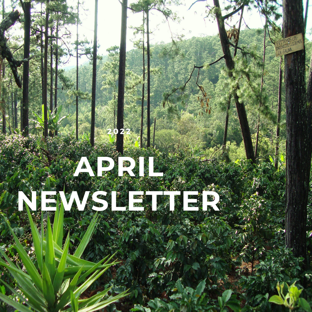 Collection of April 2022 Newsletter in a gallery layout