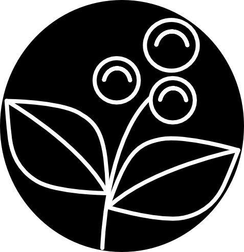 Collection of Direct Coffee Partner's in a gallery layout