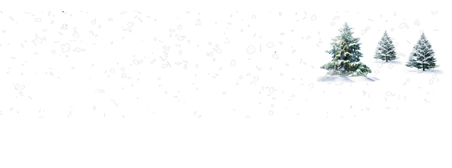 Caribe Coffee Co.®