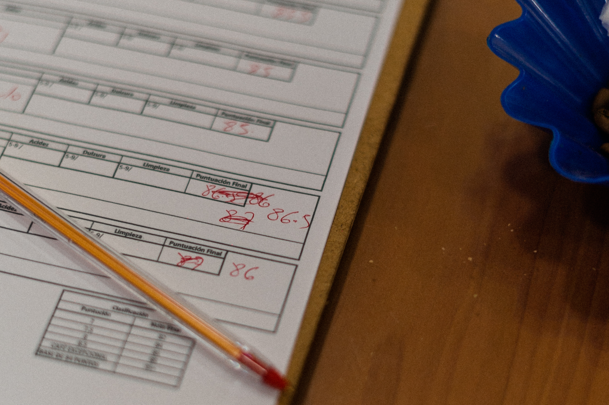 Collection of Coffee Cupping Session in a gallery layout