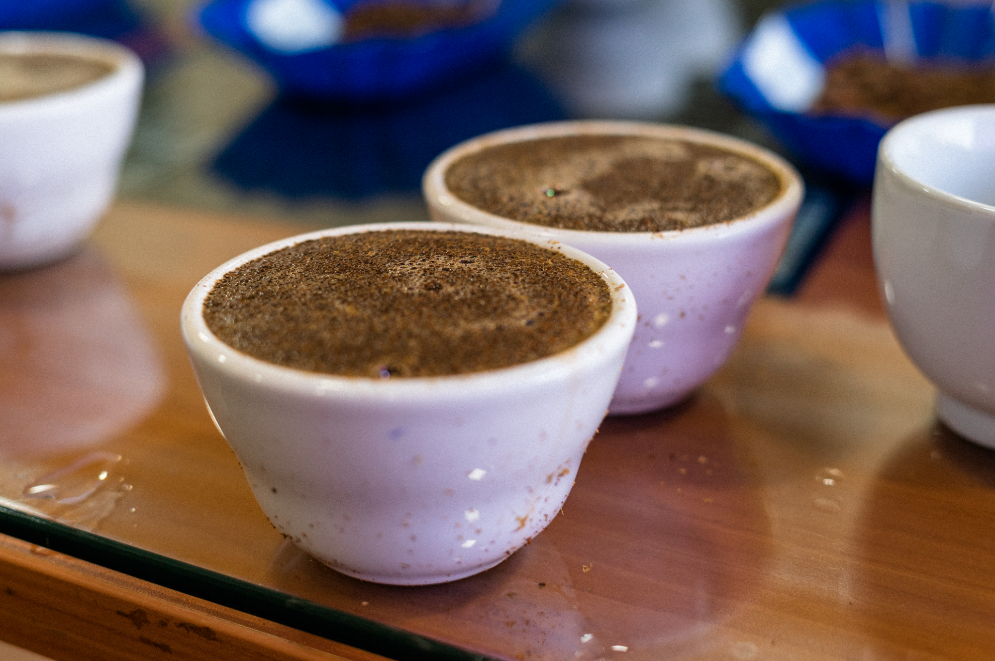 Collection of Coffee Cupping Session in a gallery layout