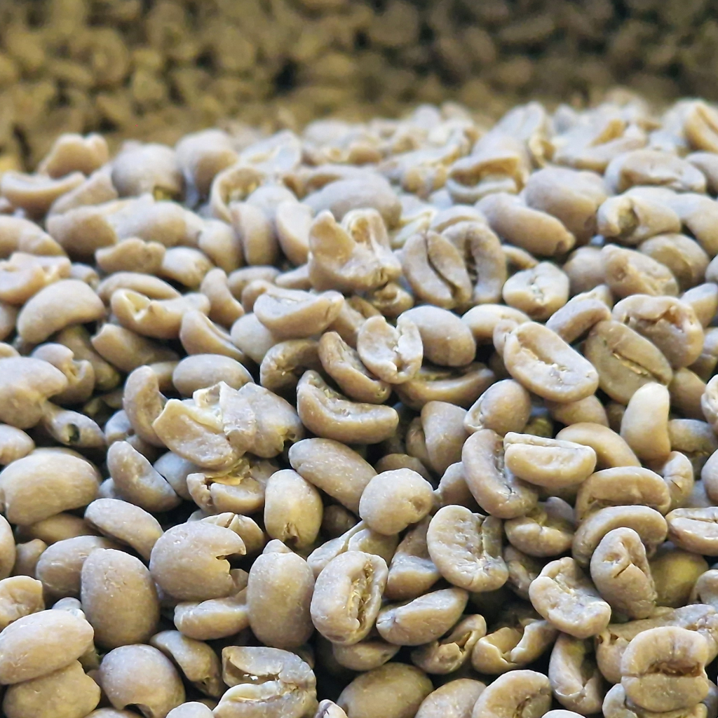 Swiss Water Decaf - SHG WHOLESALE