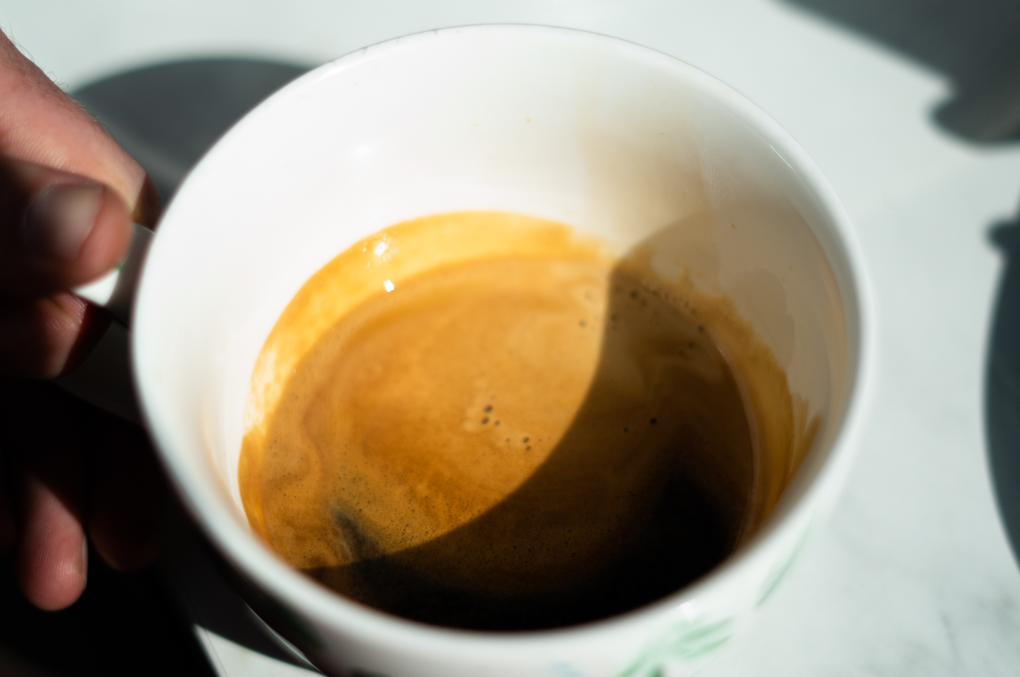 Collection of Basic Barista Training in a gallery layout