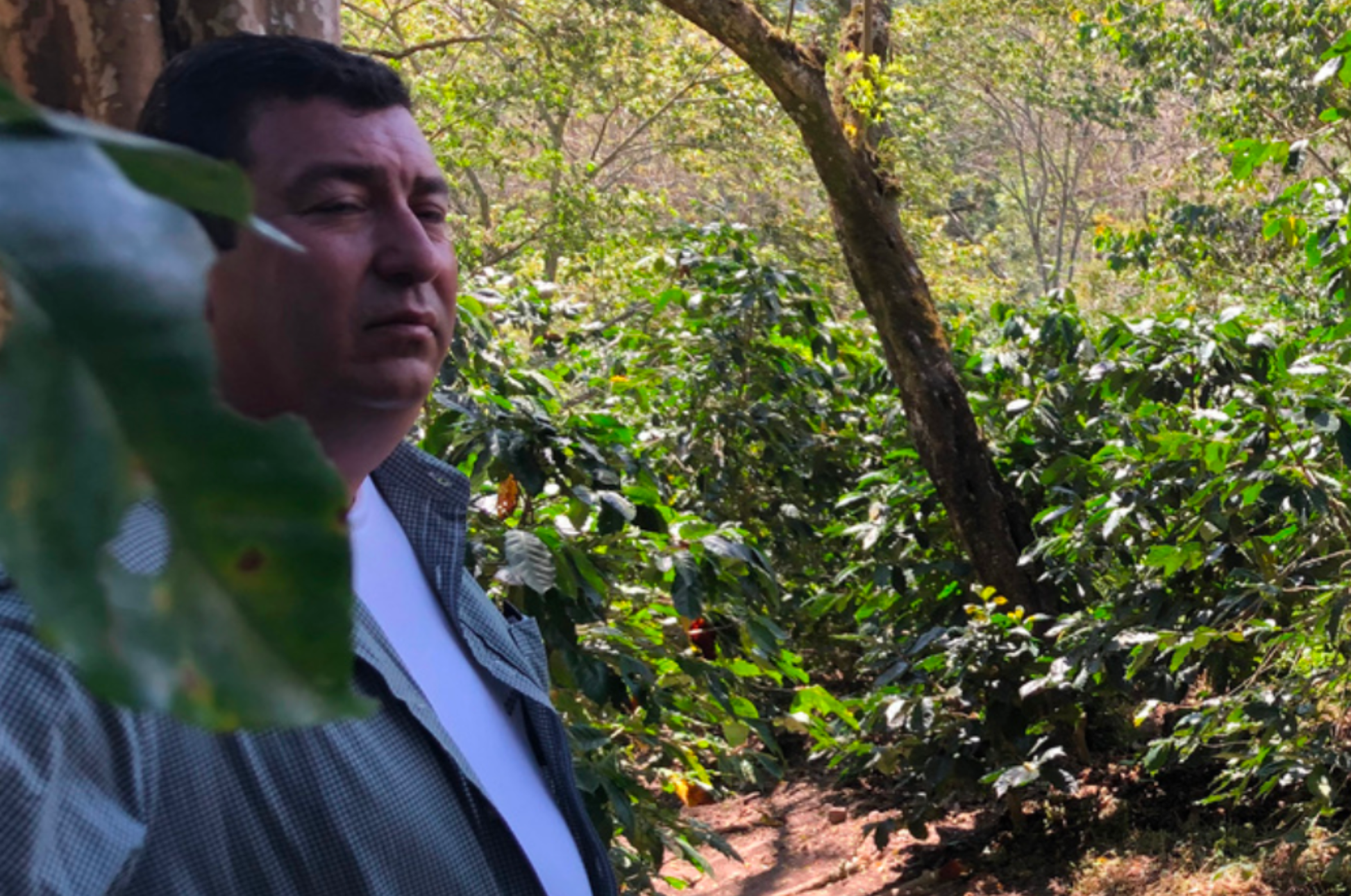 Finca El Alto
