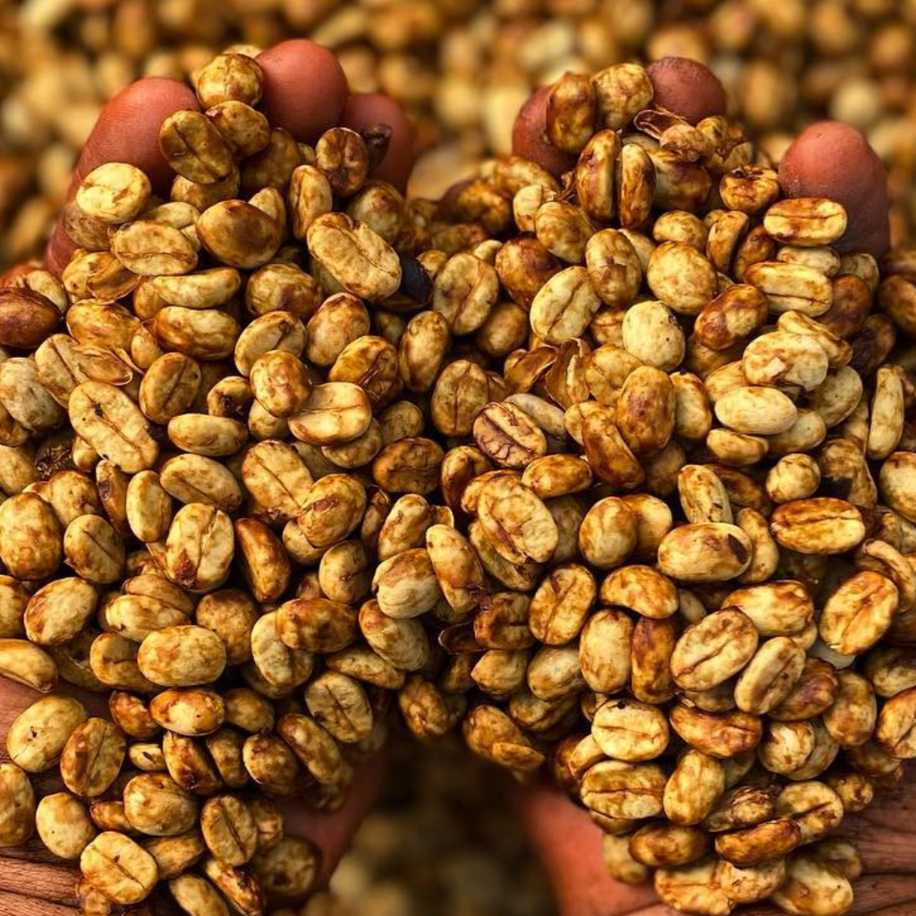 Collection of Coffee Cascara - Pulp Tea in a gallery layout