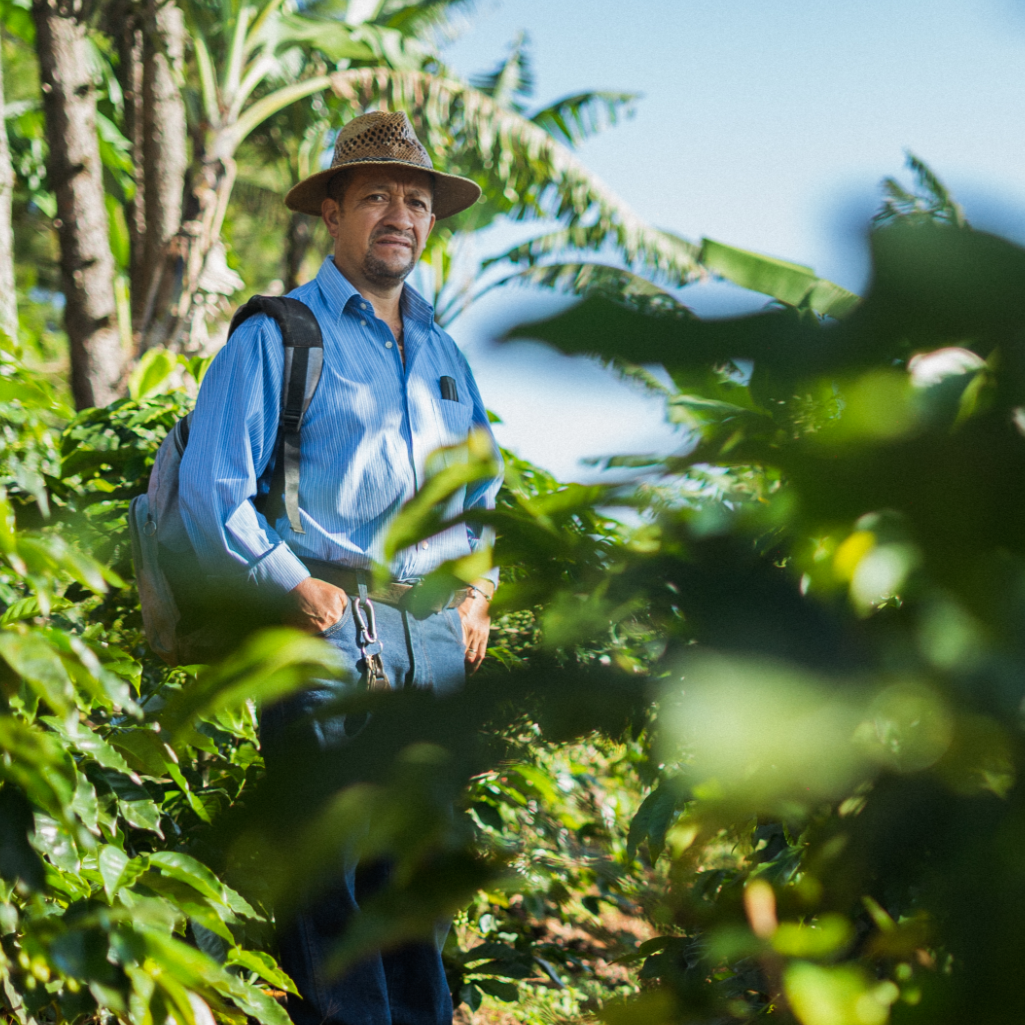 Collection of  in a gallery layout