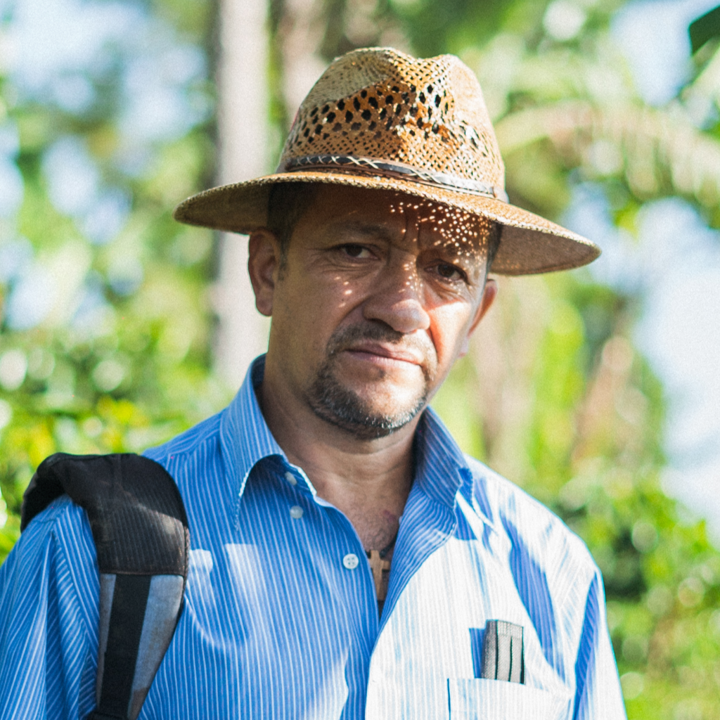 Collection of  in a gallery layout