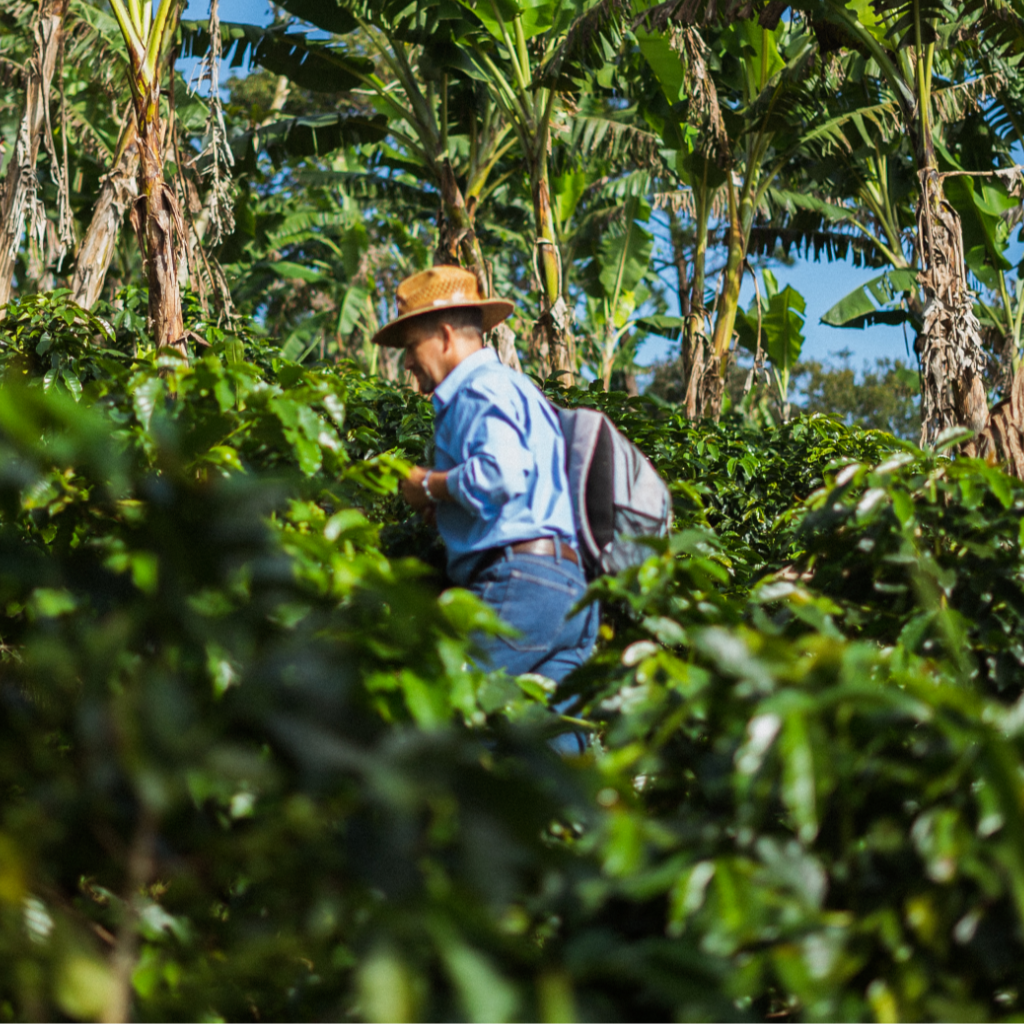 Finca El Espíritu Santo