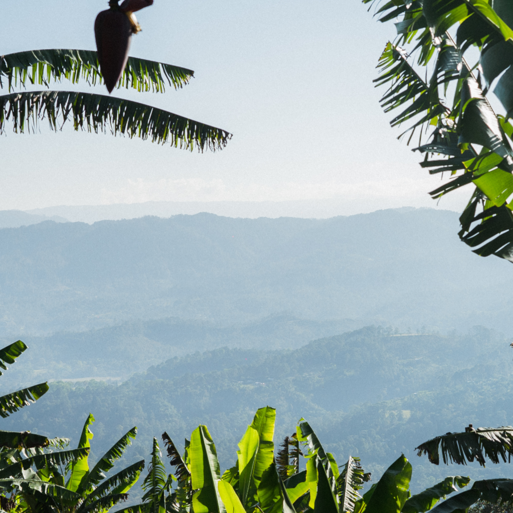 Finca El Espíritu Santo