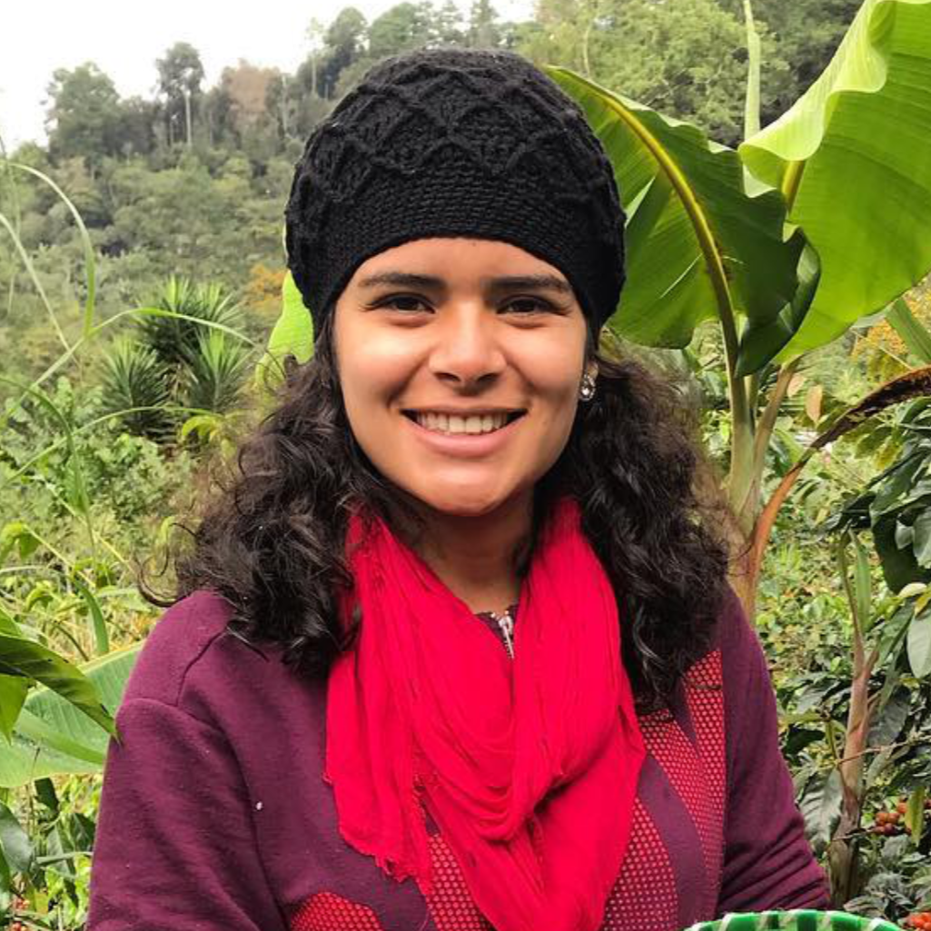 Collection of  in a gallery layout