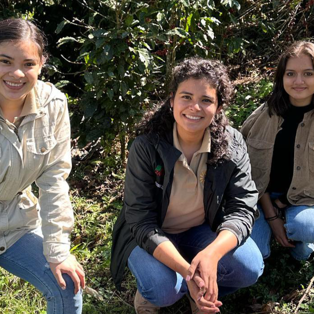 Collection of Coffee Cascara - Pulp Tea in a gallery layout