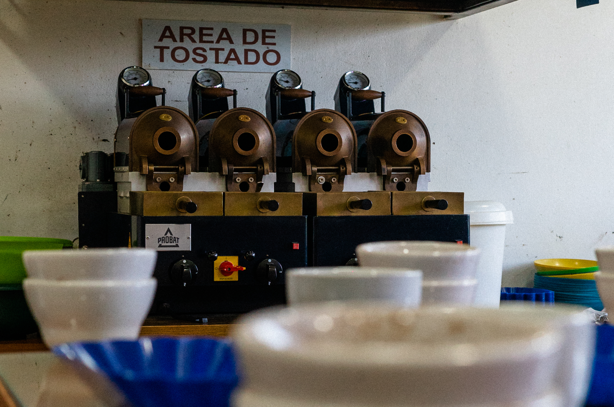 Collection of Caribe Coffee Co.® in a gallery layout