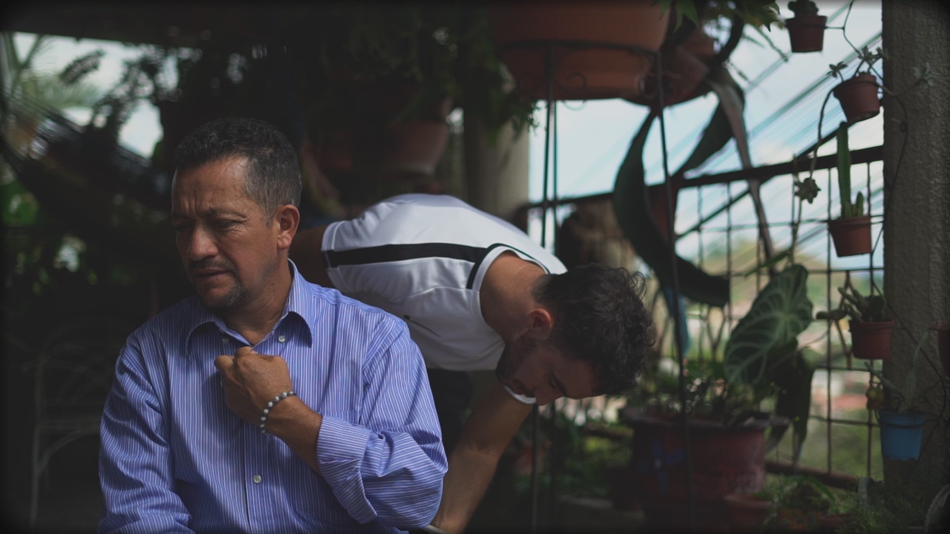 Collection of  in a gallery layout