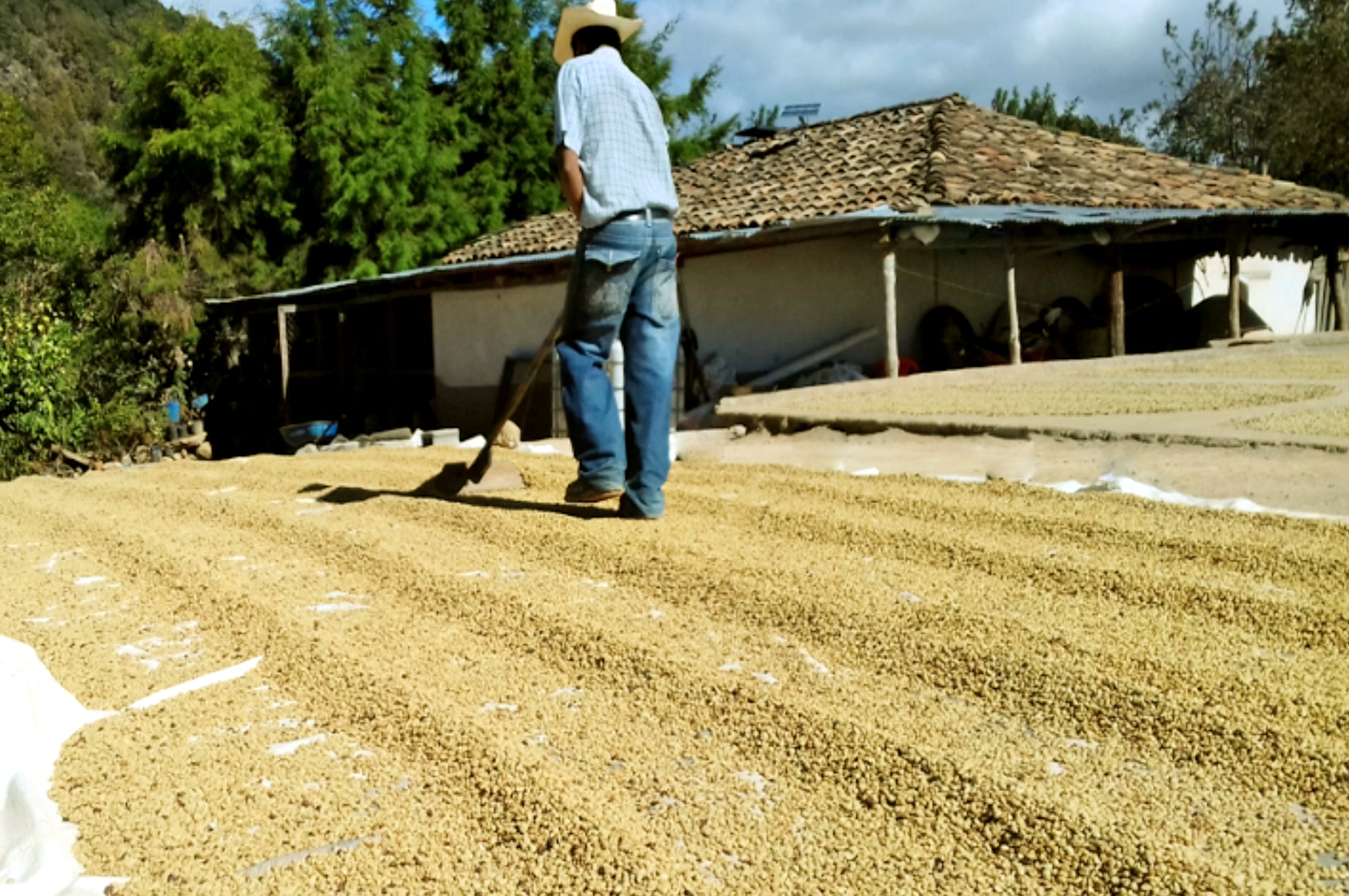 Collection of Anastacio Benitez Diaz in a gallery layout