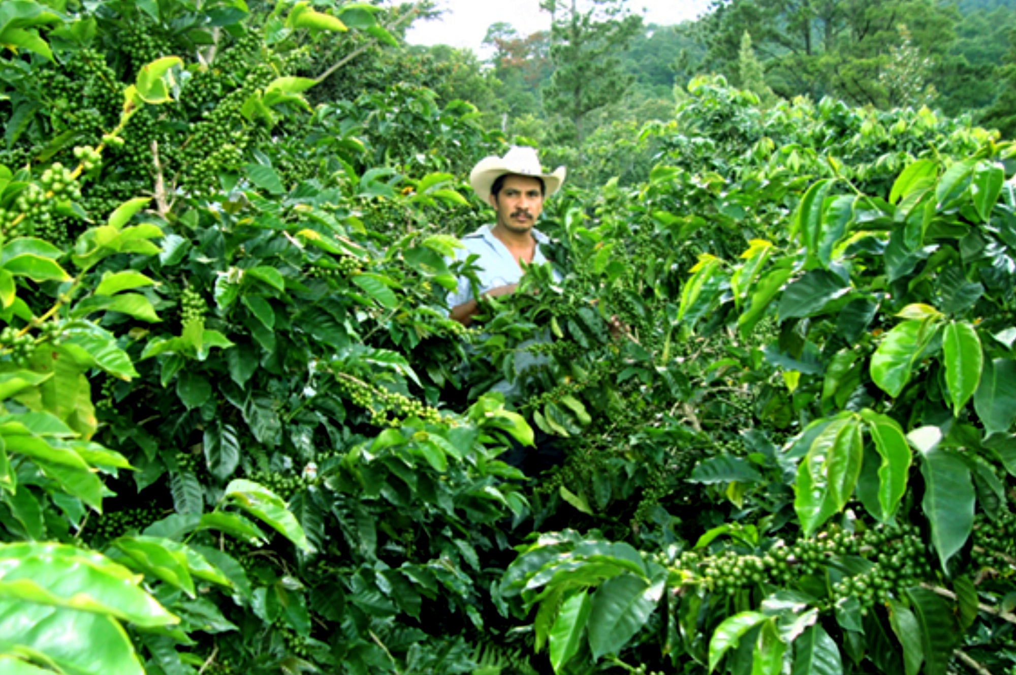 Collection of Anastacio Benitez Diaz in a gallery layout