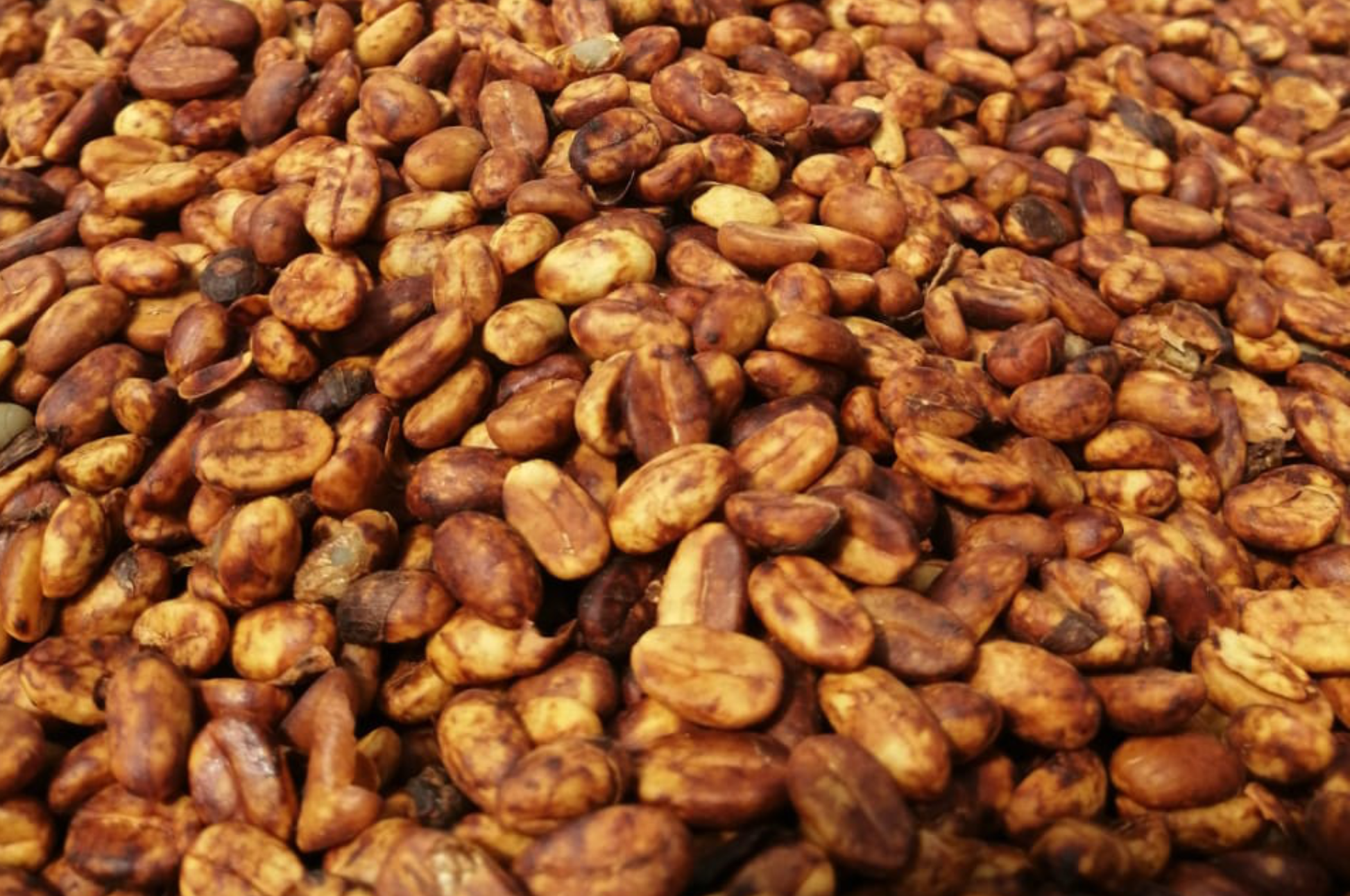 Finca La Balastrera