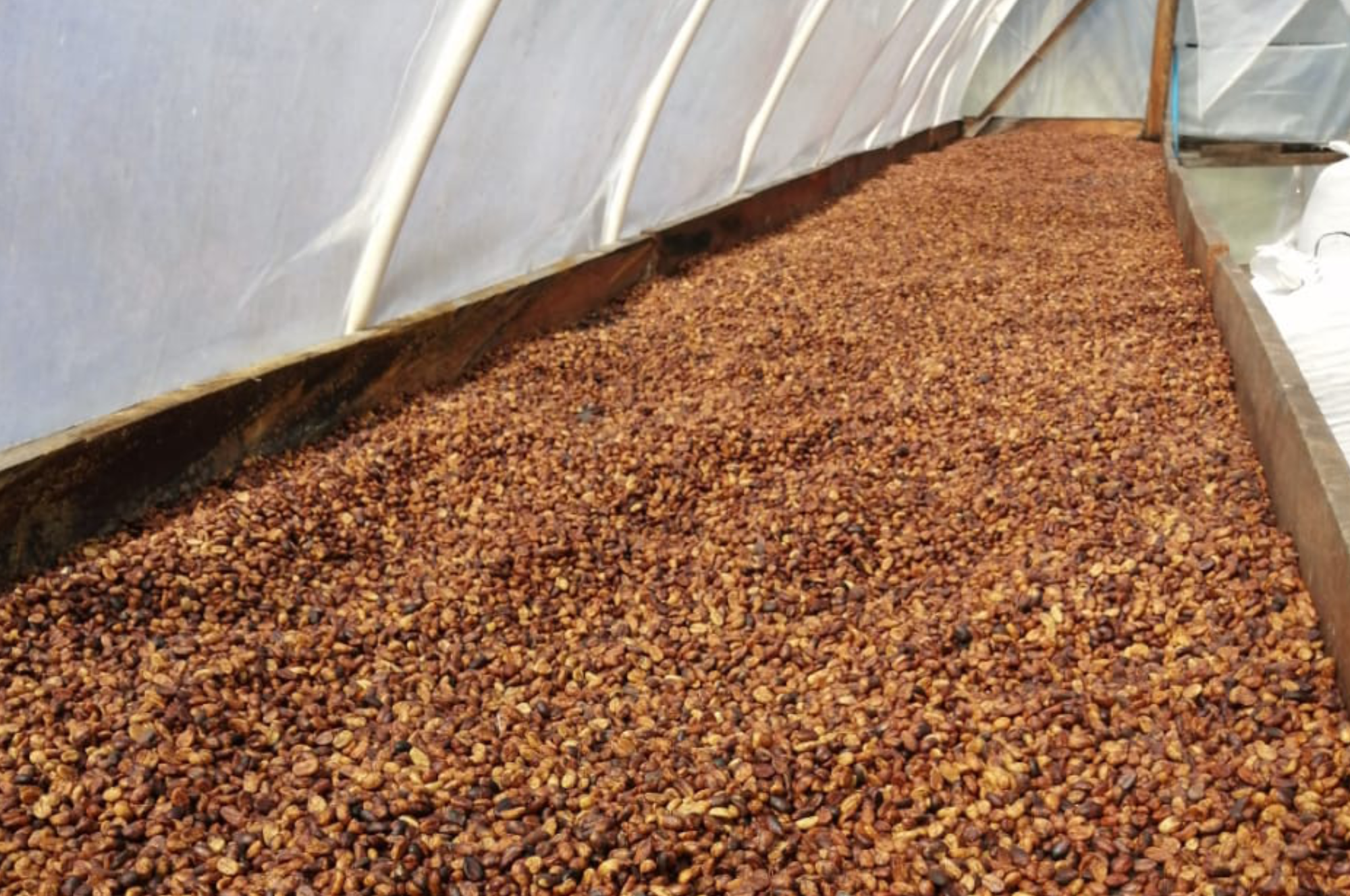 Collection of Finca La Balastrera in a gallery layout