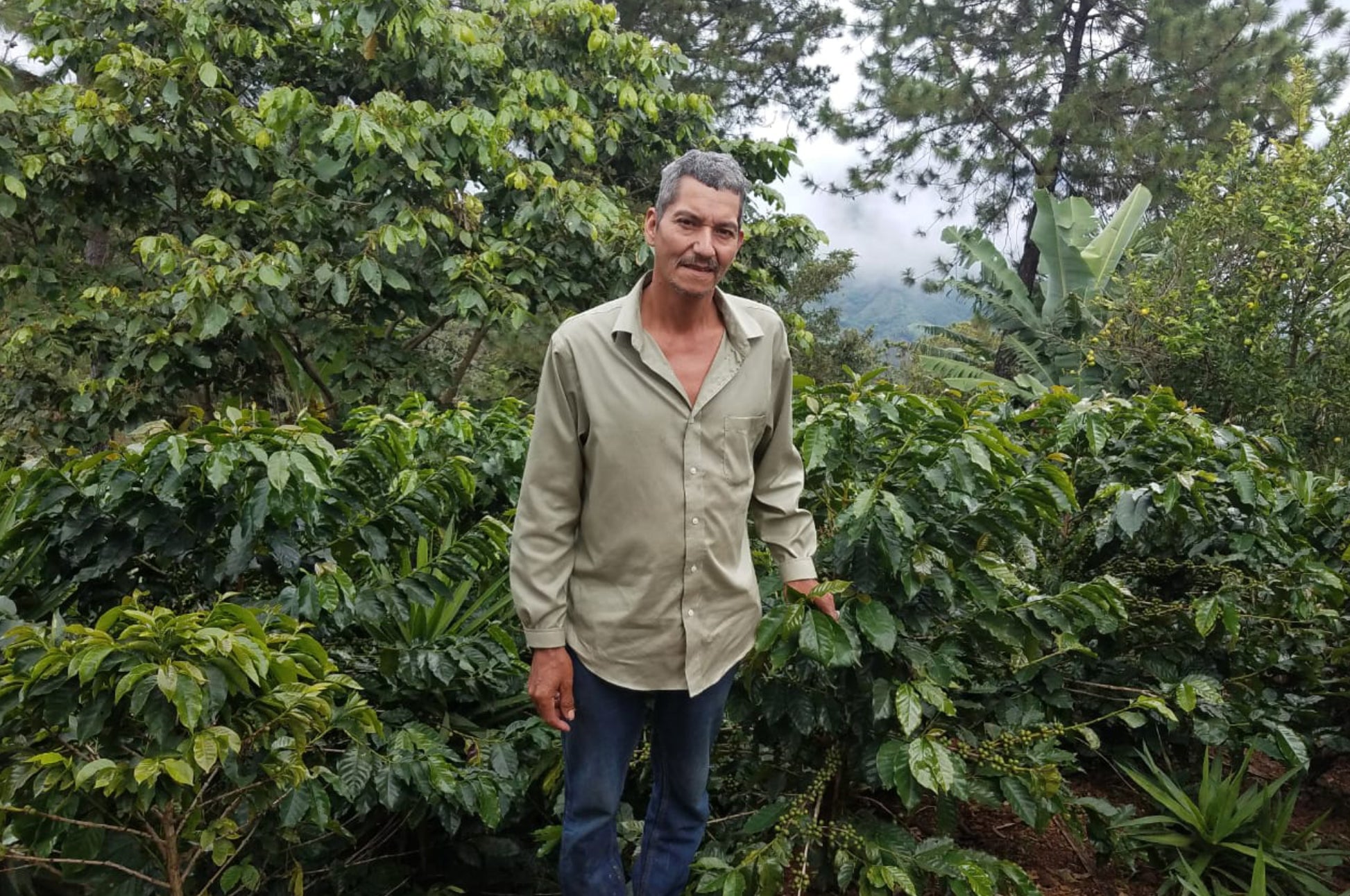 El Zarzal