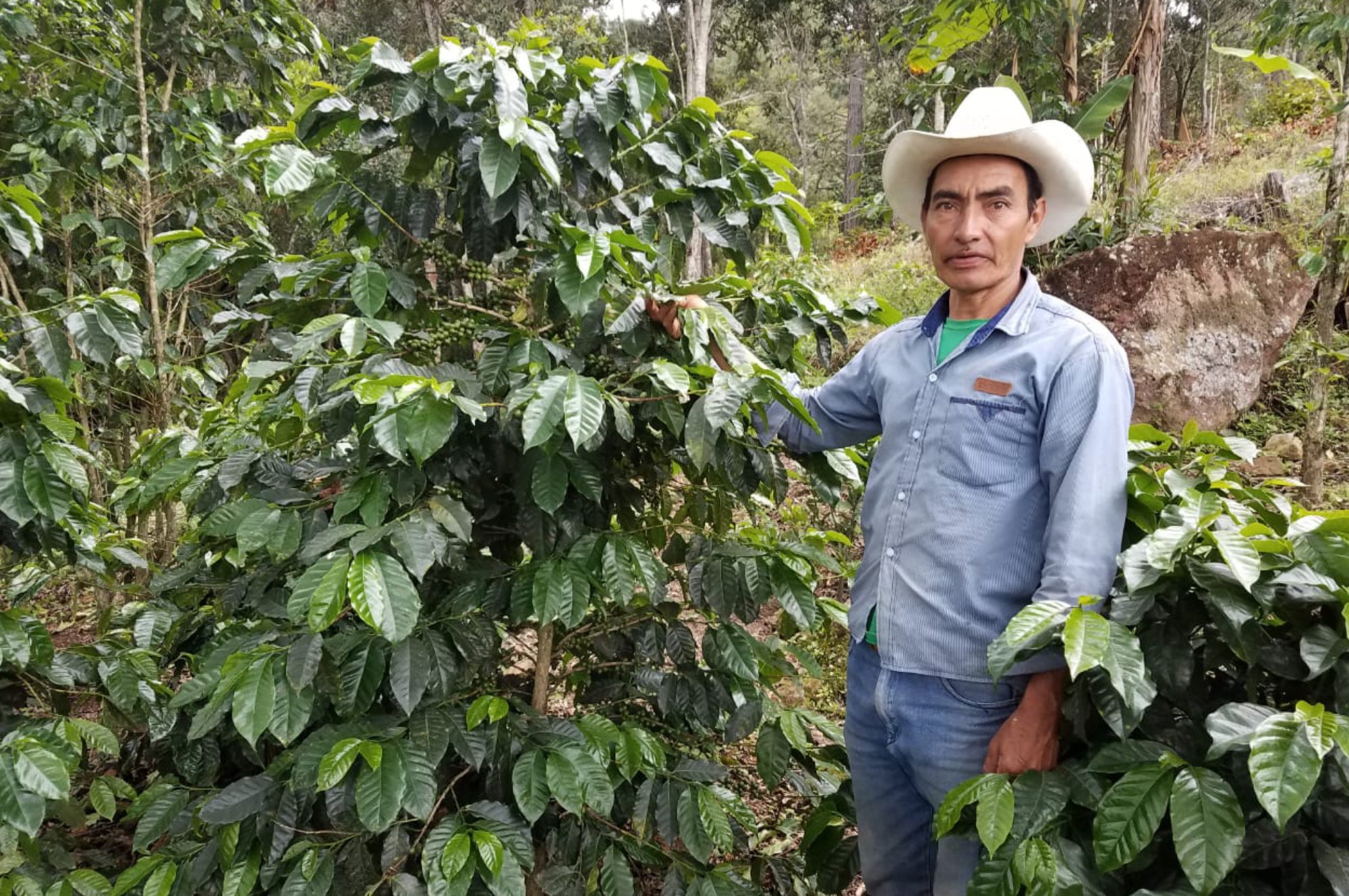 Collection of  in a gallery layout