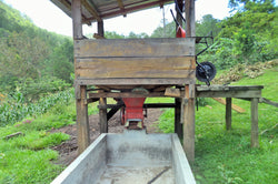Collection of Microlot Ocelote - WHOLESALE in a gallery layout