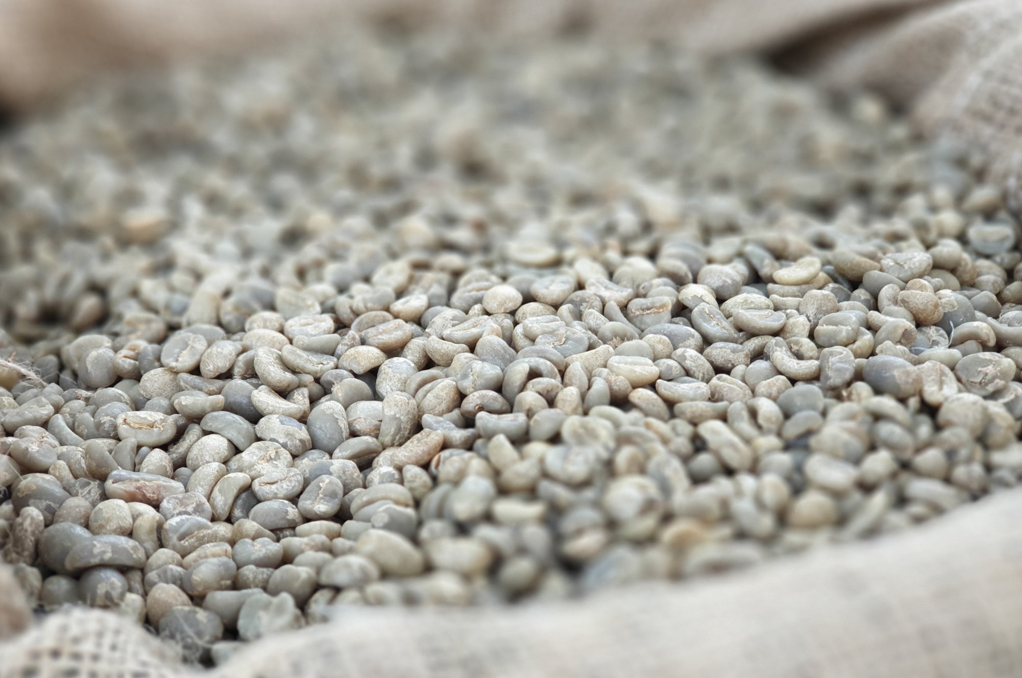 Collection of  in a gallery layout