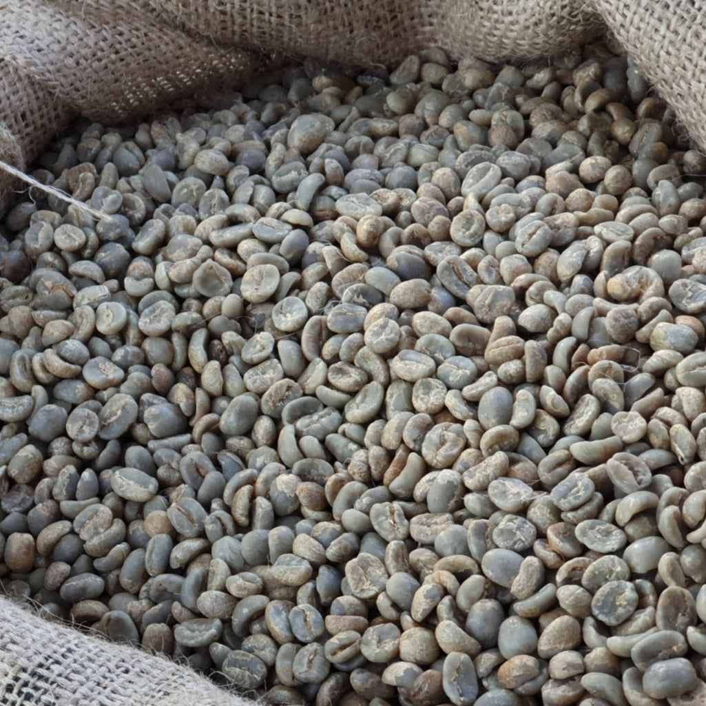 Collection of Microlot Jaguar - WHOLESALE in a gallery layout