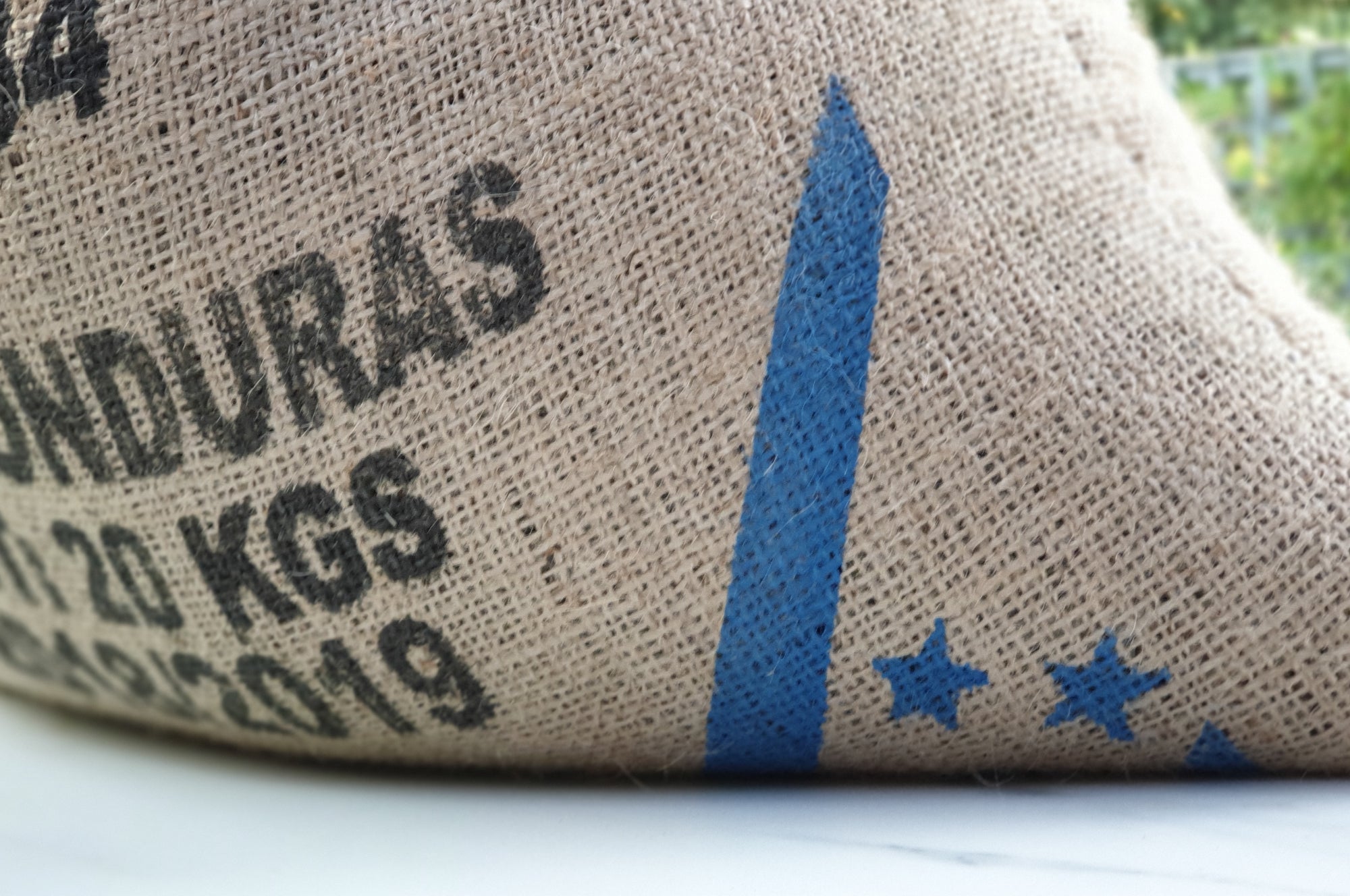 Collection of Microlot Puma - WHOLESALE in a gallery layout