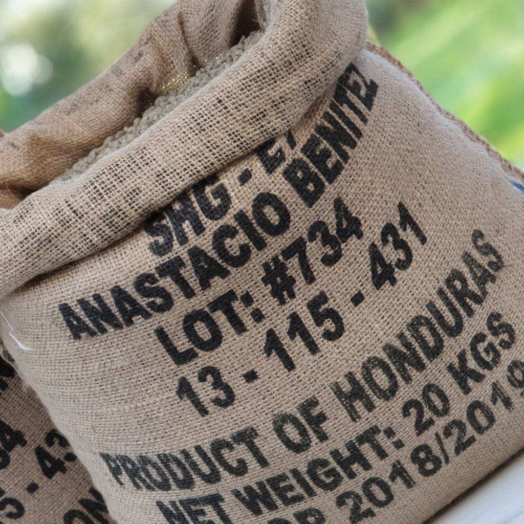 Collection of  in a gallery layout