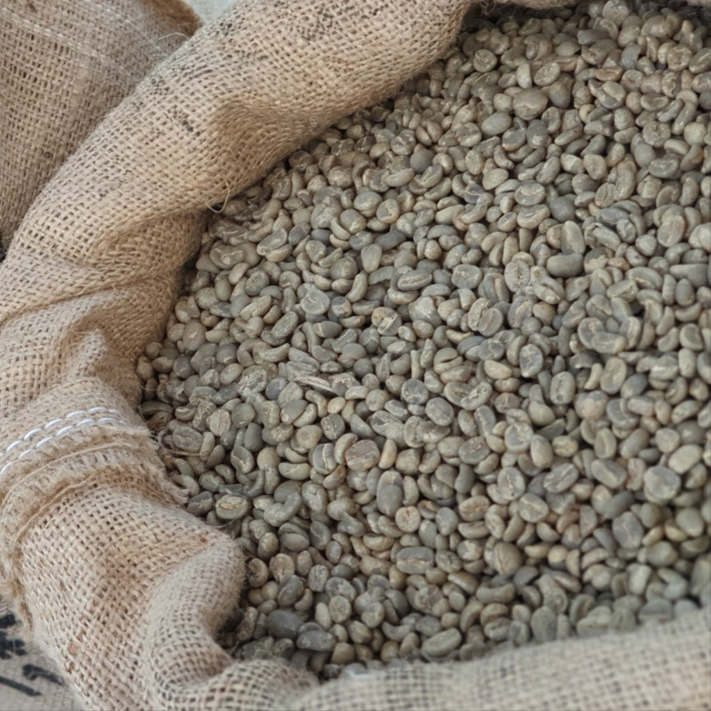 Collection of  in a gallery layout