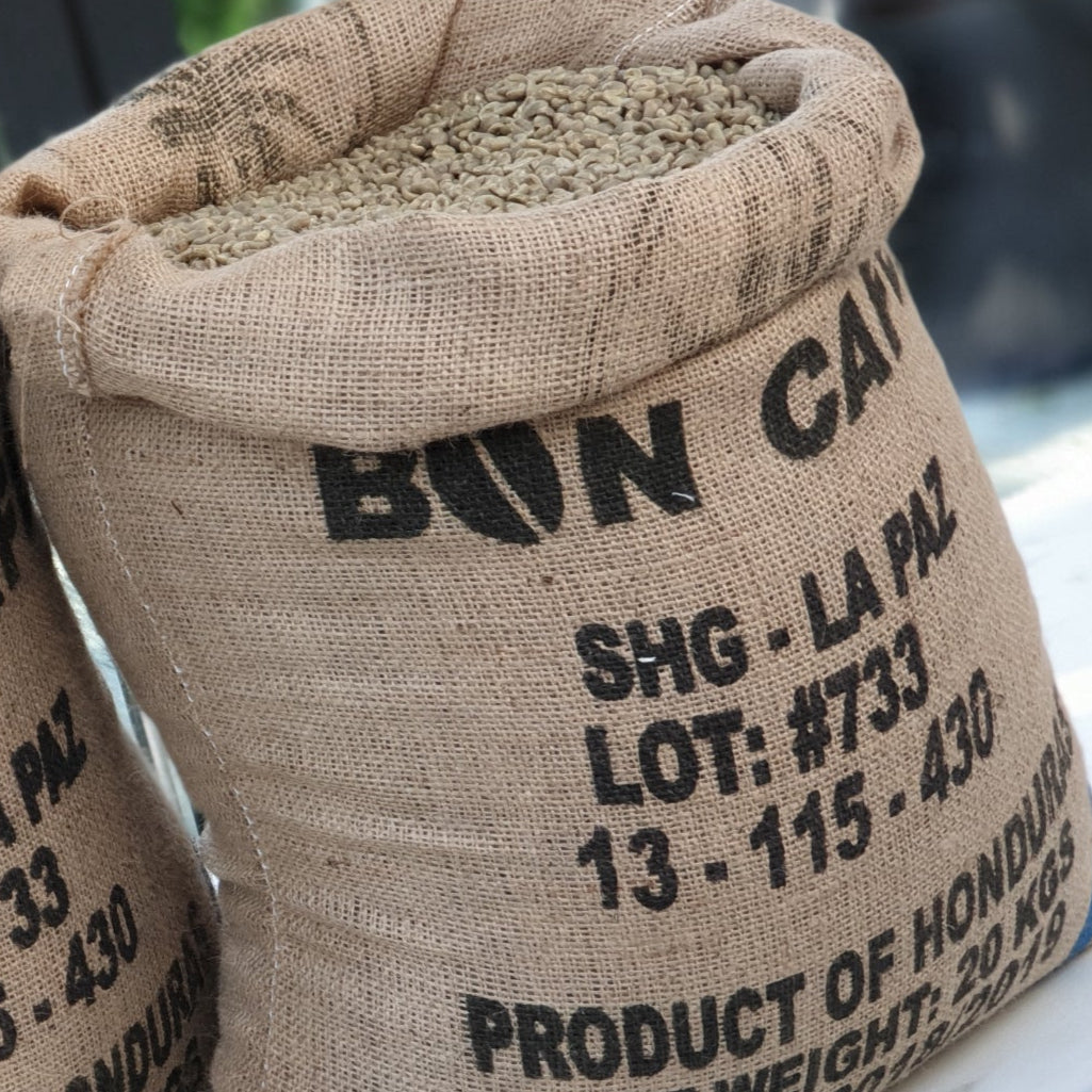 Collection of  in a gallery layout