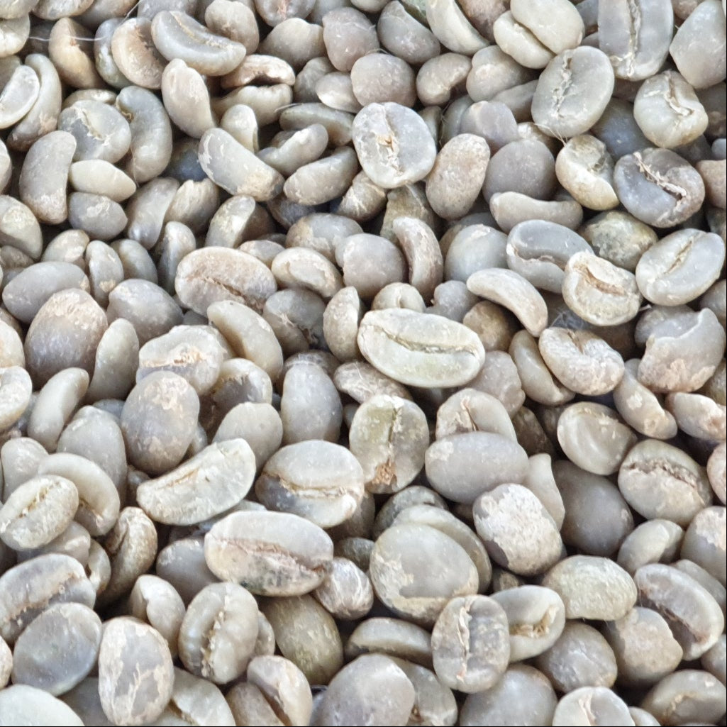 Collection of  in a gallery layout