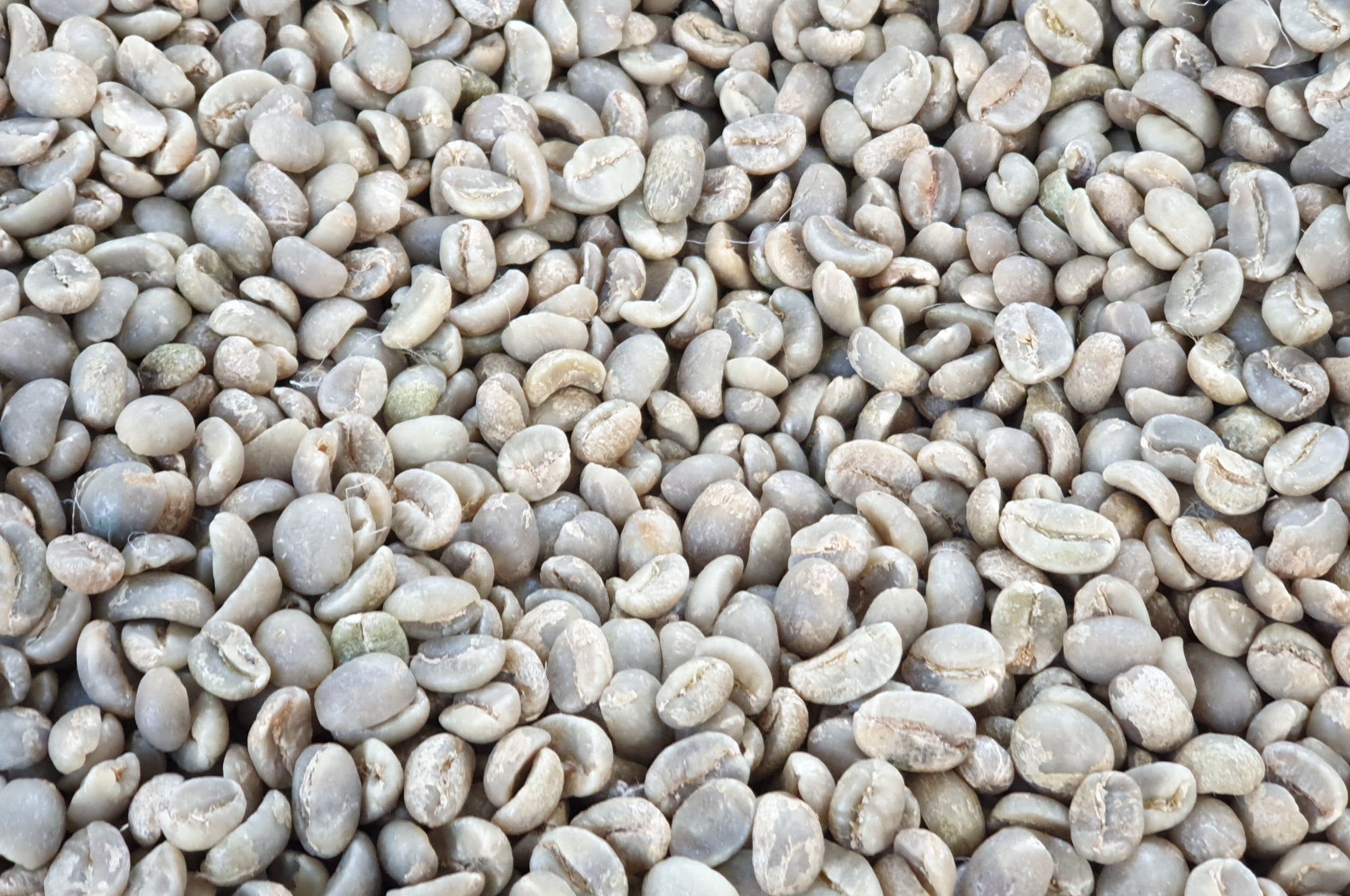 Collection of  in a gallery layout