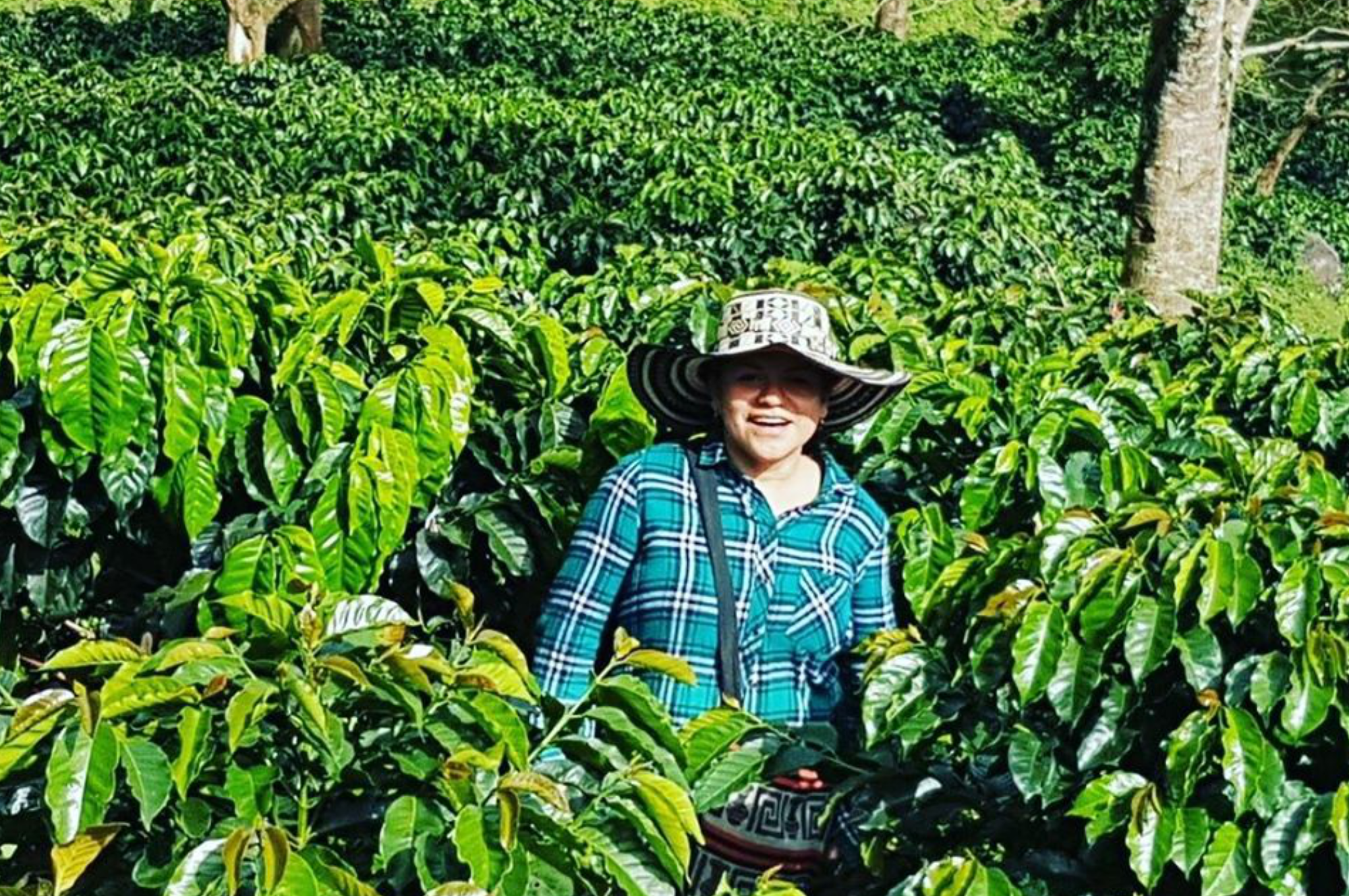 Collection of  in a gallery layout