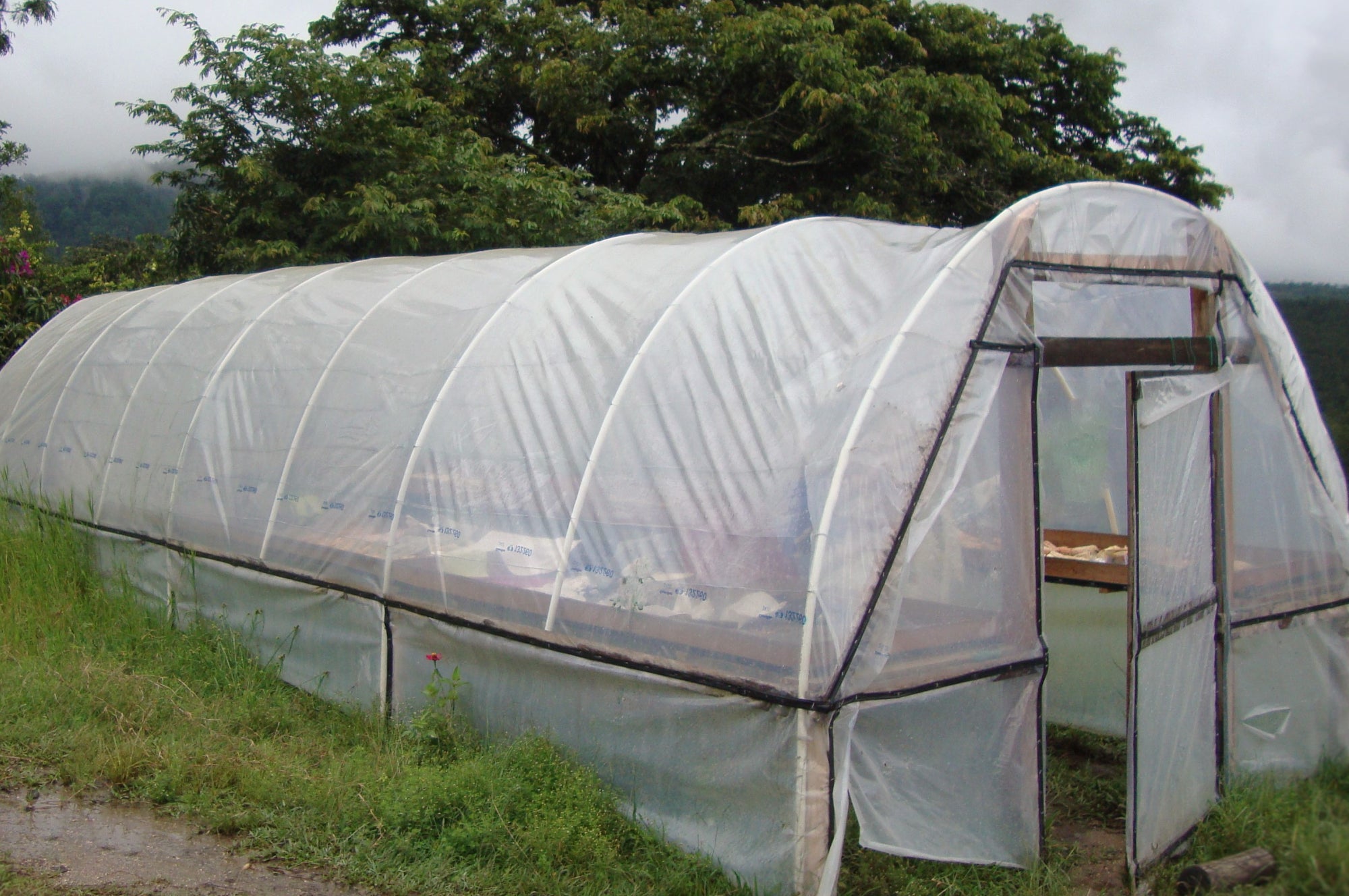 Collection of Los Pajuiles in a gallery layout