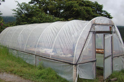 Collection of Los Pajuiles in a gallery layout